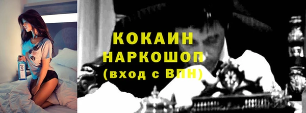 шишки Верхний Тагил