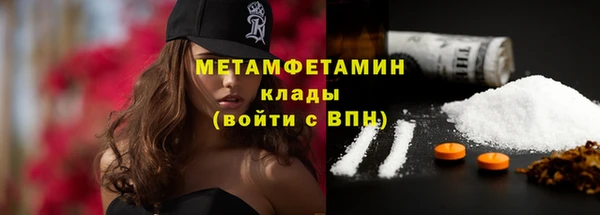 шишки Верхний Тагил