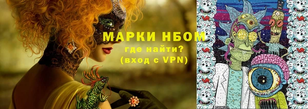 шишки Верхний Тагил