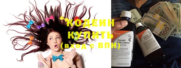 шишки Верхний Тагил