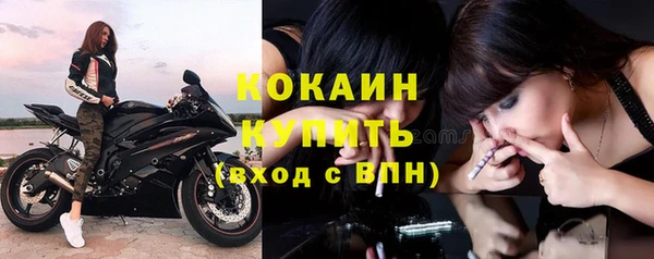 шишки Верхний Тагил
